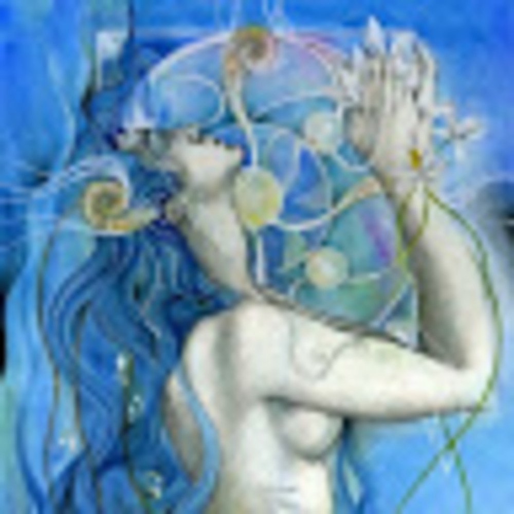 Meet your Posher, Ande-rose